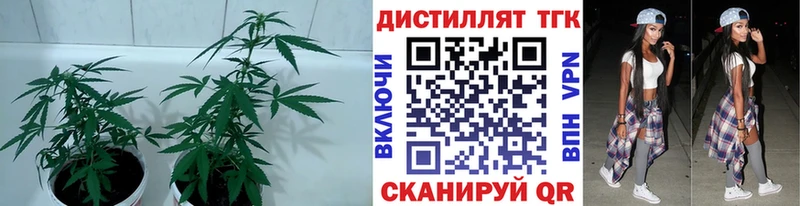 даркнет сайт  Дрезна  ТГК гашишное масло 